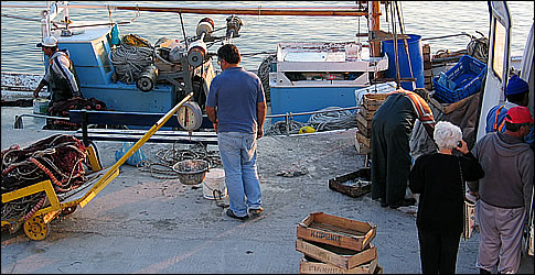 Shops - Perdika - Aegina island - Greece